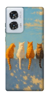 Чехол на Motorola Edge 50 Fusion cats on wall фото 1 Чехол на Motorola Edge 50 Fusion cats on wall фото 1 из 1