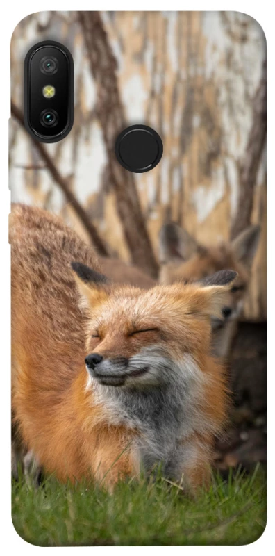 Чохол на Xiaomi Mi A2 Lite / Xiaomi Redmi 6 Pro Лисиця фото 1 з 1