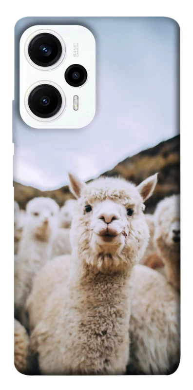 Чохол на Xiaomi Poco F5 / Note 12 Turbo Лама фото 1 з 1