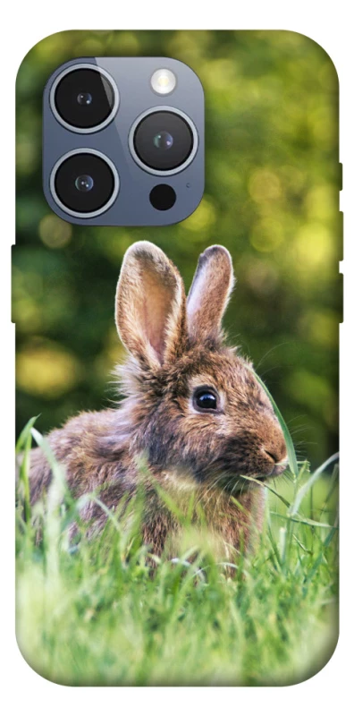 Чехол на Apple iPhone 16 Pro Max Кролики фото 1 из 1