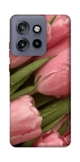 Чехол на Motorola Edge 50 Neo Beauty фото 1 из 1