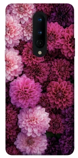 Чехол на OnePlus 8 Garden1 фото 1 из 1