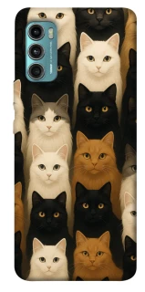 Чехол на Motorola Moto G60 Colorful Cat Collage фото 1 из 1