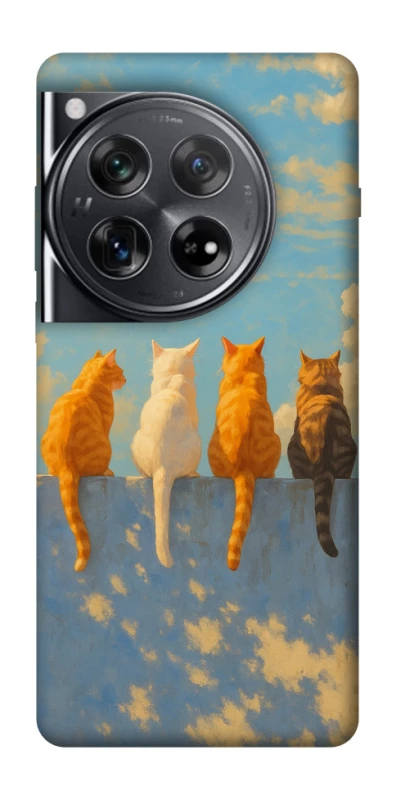 Чехол на OnePlus 12 cats on wall фото 1 из 1