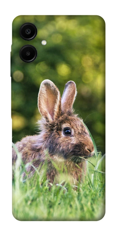 Чехол на Samsung Galaxy A07 Кролики фото 1 из 1