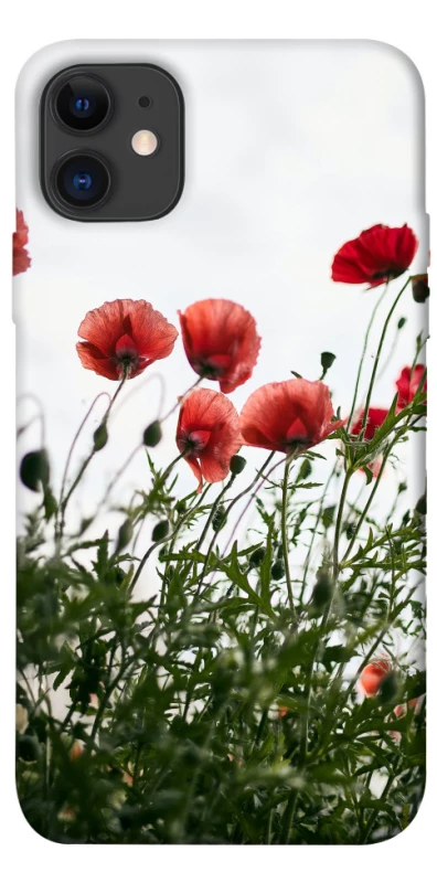 Чохол на Apple iPhone 11 (6.1") Поле маків фото 1 з 1