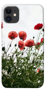 Чохол на Apple iPhone 11 (6.1") Поле маків фото 1 з 1