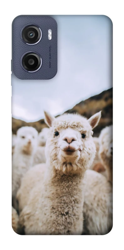 Чехол на Motorola Moto E15 Лама фото 1 из 1