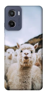 Чехол на Motorola Moto E15 Лама фото 1 из 1