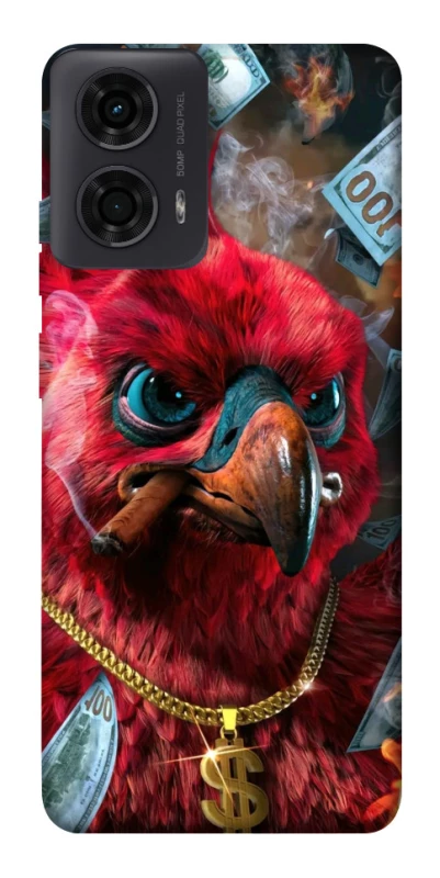 Чохол на Motorola Moto G04 Папуга фото 1 з 1