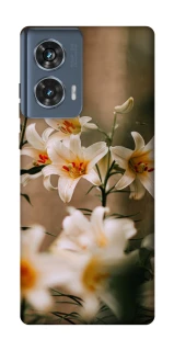 Чохол на Motorola Edge 50 Лілії фото 1 з 1