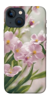 Чехол на Apple iPhone 13 mini (5.4") Spring фото 1 из 1
