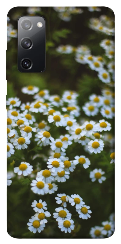 Чехол на Samsung Galaxy S20 FE Ромашки v13 фото 1 из 1