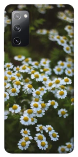 Чехол на Samsung Galaxy S20 FE Ромашки v13 фото 1 из 1