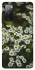 Чехол на Samsung Galaxy S20 FE Ромашки v13 фото 1 из 1