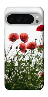 Чохол на Google Pixel 9 Pro XL Поле маків фото 1 з 1