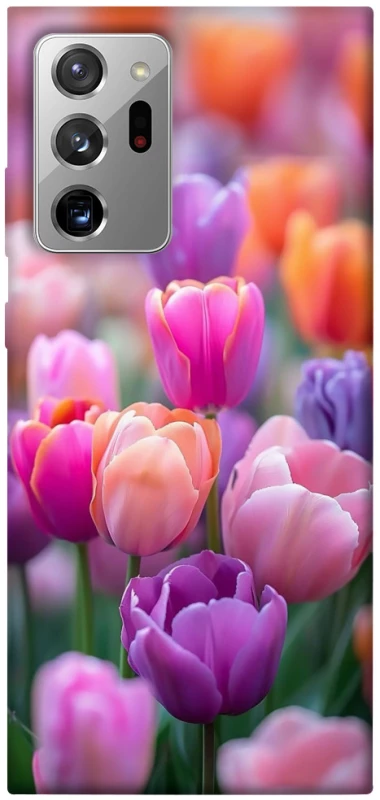 Чохол на Samsung Galaxy Note 20 Ultra Тюльпанове поле фото 1 з 1