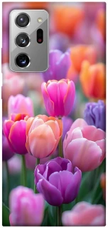 Чохол на Samsung Galaxy Note 20 Ultra Тюльпанове поле фото 1 з 1