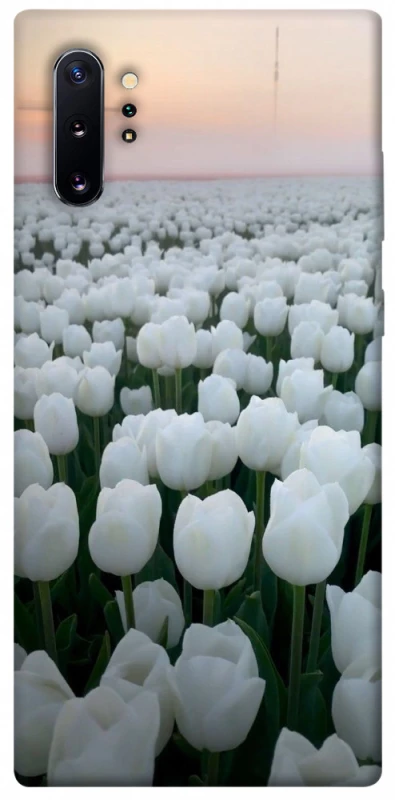 Чехол на Samsung Galaxy Note 10 Plus Flowers v1 фото 1 Чехол на Samsung Galaxy Note 10 Plus Flowers v1 фото 1 из 1