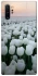 Чехол на Samsung Galaxy Note 10 Plus Flowers v1 фото 1 Чехол на Samsung Galaxy Note 10 Plus Flowers v1 фото 1 из 1