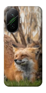 Чохол на Xiaomi Poco F7 Лисиця фото 1 з 1