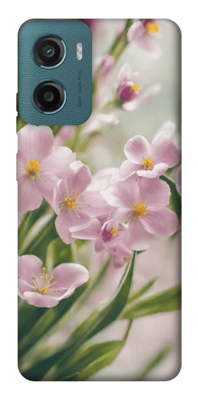 Чохол на Motorola Moto G06 Spring фото 1 з 1
