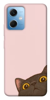 Чехол на Xiaomi Poco X5 5G Peeping cat фото 1 Чехол на Xiaomi Poco X5 5G Peeping cat фото 1 из 1