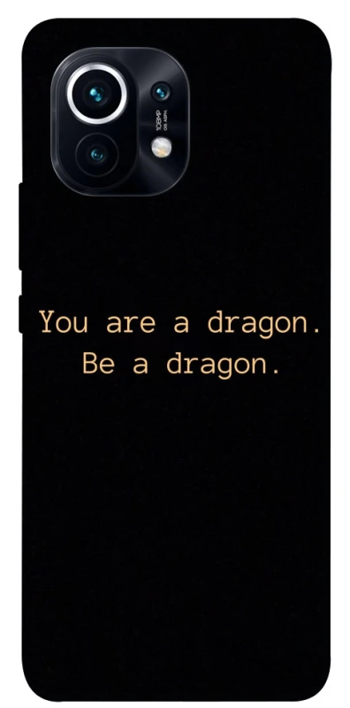 Чохол на Xiaomi Mi 11 House of the Dragon ver.9 фото 1 з 1