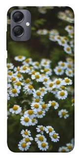 Чехол на Samsung Galaxy A05 Ромашки v13 фото 1 из 1