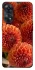 Чохол на Oppo Reno 8T 4G Flower1 фото 1 з 1