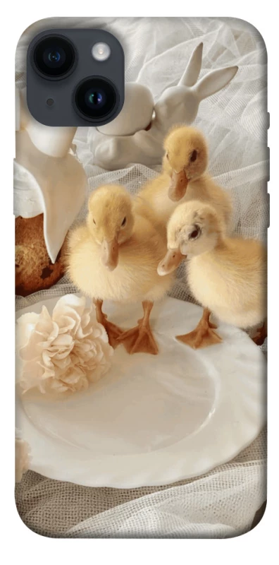 Чохол на Apple iPhone 14 Plus (6.7") Easter Vibes фото 1 з 1