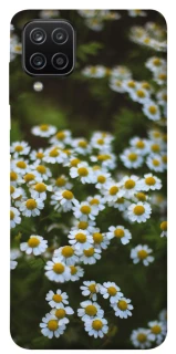 Чехол на Samsung Galaxy A12 Ромашки v13 фото 1 из 1