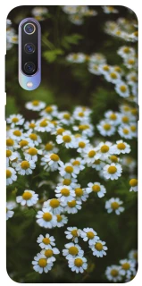 Чохол на Xiaomi Mi 9 Ромашки v13 фото 1 з 1