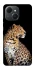 Чохол на TECNO Spark 40C Leopard v2 фото 1 з 1