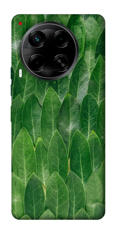 Чехол на TECNO Camon 30 (CL6) Листья фото 1 из 1