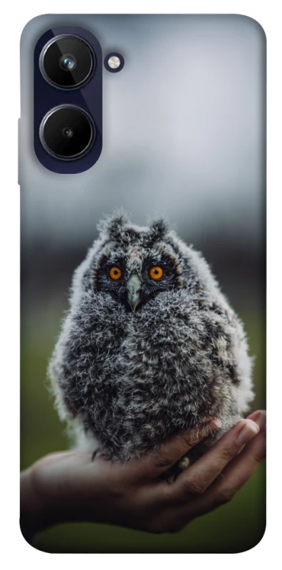 Чохол на Realme 10 4G Совеня фото 1 з 1