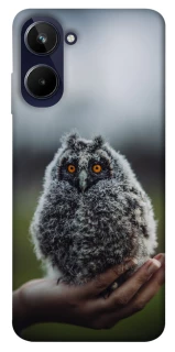 Чохол на Realme 10 4G Совеня фото 1 з 1