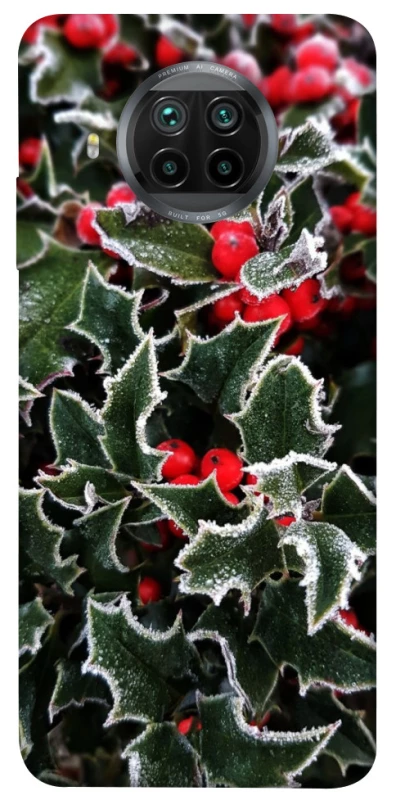 Чохол на Xiaomi Mi 10T Lite / Redmi Note 9 Pro 5G Новорічний v32 фото 1 з 1