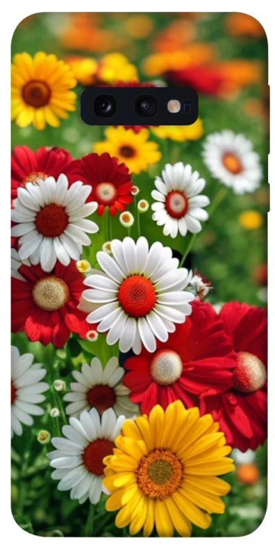 Чохол на Samsung Galaxy S10e Flowers v11 фото 1 з 1