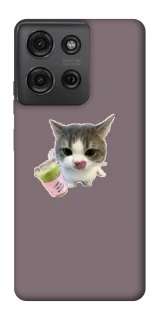 Чохол на Motorola Moto G75 cat matcha фото 1 з 1