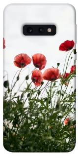 Чохол на Samsung Galaxy S10e Поле маків фото 1 з 1