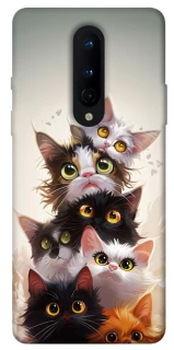 Чохол на OnePlus 8 Сat eyes фото 1 з 1