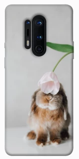 Чохол на OnePlus 8 Pro Bunny фото 1 з 1