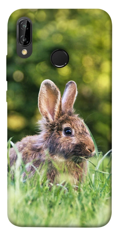 Чехол на Huawei P20 Lite Кролики фото 1 из 1
