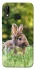 Чехол на Huawei P20 Lite Кролики фото 1 из 1
