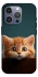 Чехол на Apple iPhone 16 Pro Max Чехол Котёнок фото 1 из 1