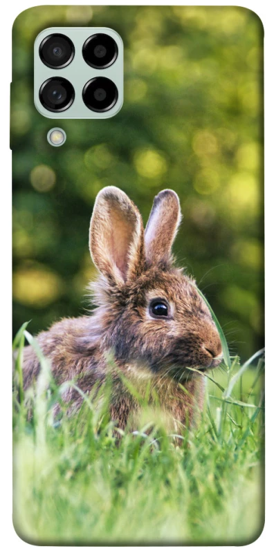 Чехол на Samsung Galaxy M53 5G Кролики фото 1 из 1