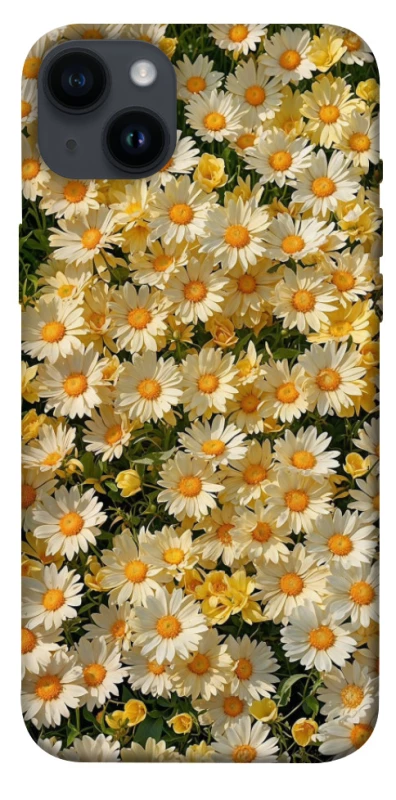 Чохол на Apple iPhone 14 Plus (6.7") Camomile фото 1 з 1