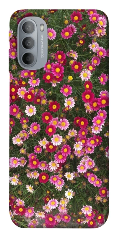 Чохол на Motorola Moto G31 Flowers v8 фото 1 з 1