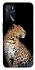 Чехол на Oppo A16s / A16 Leopard v2 фото 1 из 1